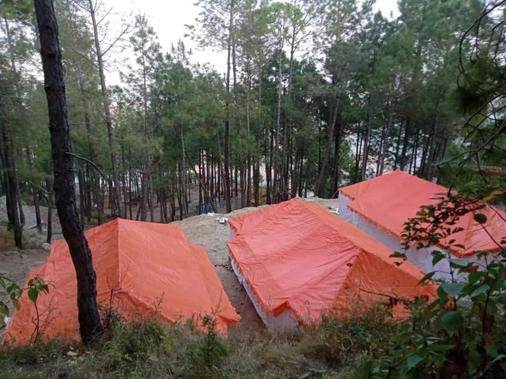 Amravati Resort Solan Exterior photo